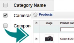 List Category Products [Admin area]