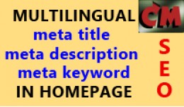 Multilingual SEO meta tags in homepage