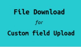 File Download For Custom field Upload By Customers