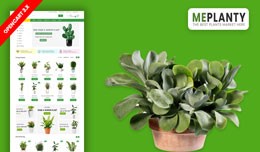 MePlantly Plant & Home Plant Ecommrce Websit..