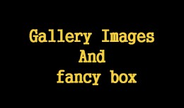 Gallery Images And Fancy box